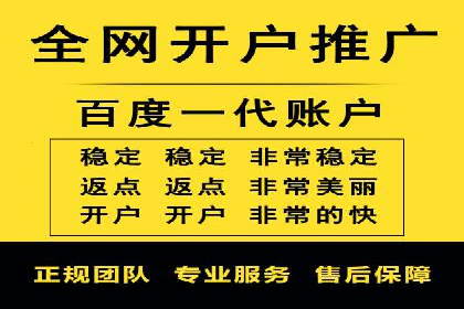 百度竞价广告的投放策略与成功案例分析